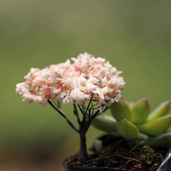 Muy Bien Plastikust Simulatsiooni Puu Paju Cherry Blossom Miniatuurne Mudel Muinasjutt Aed Maastiku Kaunistused Kodus DIY Tarvikud