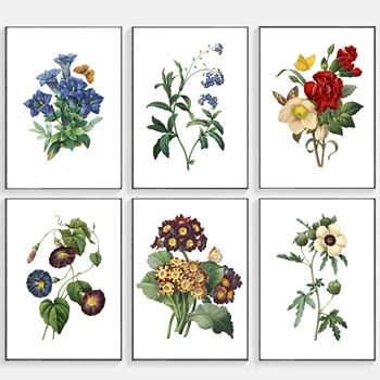 Osta 3 Saad 4 Valge kaart Looduslike Taime-Plakat Botaanika Lill Uuringu elutuba Kodu Kaasaegse Decor Pildi Esteetiline Tuba Decor